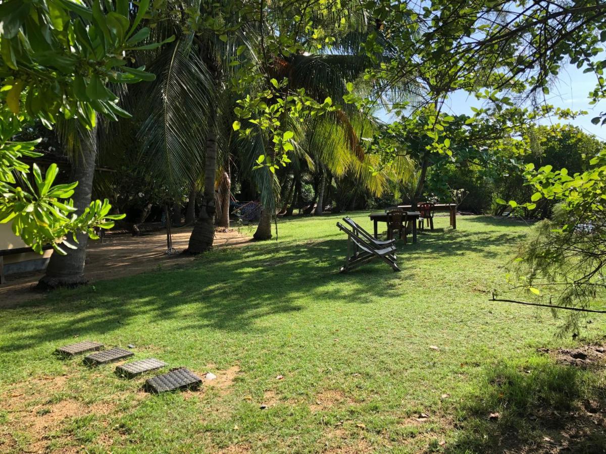 Bed and Breakfast Kite House Cafe Kalpitiya Exterior foto